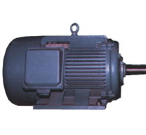 YD系列變極多速三相異步電動(dòng)機(jī)